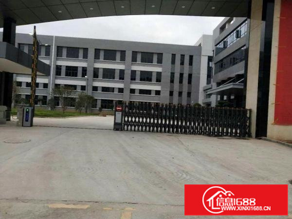 新城工业区，一栋标准厂房一楼，2600平米出租