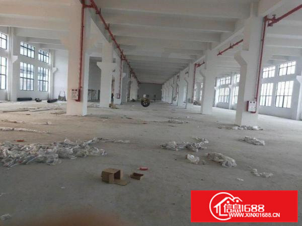 大岭山全新标准厂房独院50000平方，