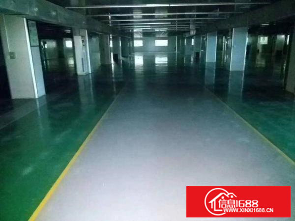 东坑镇原房东分租楼上1200平方