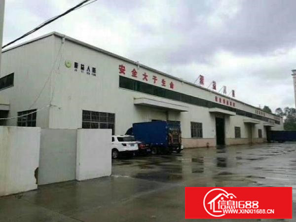 平路边新出1460平厂房招租，原房东带红本