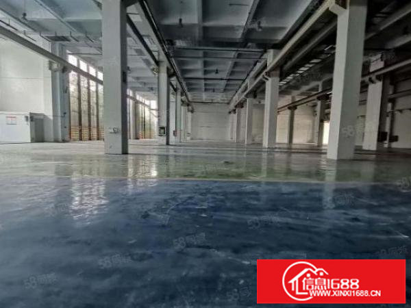 一手房东红本厂房一楼3200平方出租一楼层高9米可申请补贴