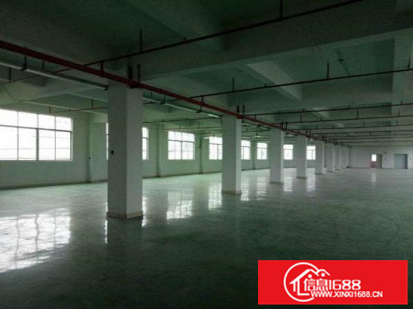 龙岗坪山业主直租精品独院厂房6500平方米出租