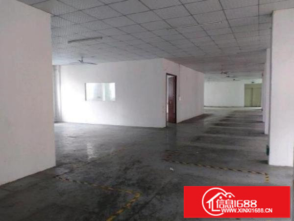 松元福楼村3楼厂房800平米精装修