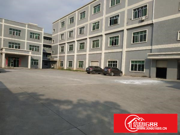 清溪镇一楼700平方出租,现成办公室装修，适合各行业