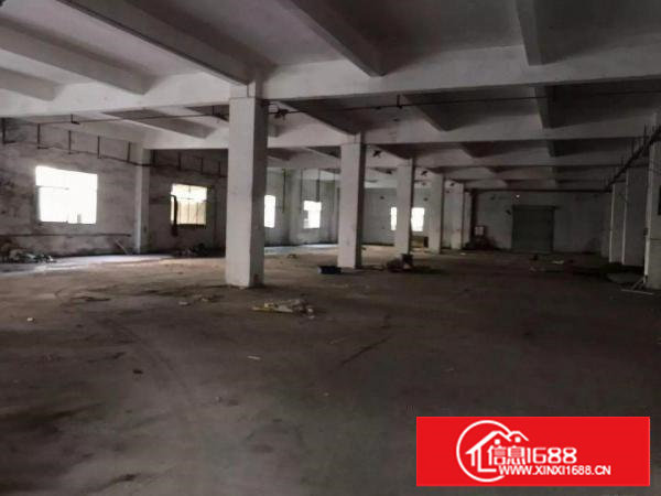 塘厦大坪独院内新出标准一楼厂房1522平方火爆招租