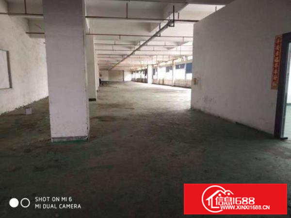 树田新出楼上带部分装修厂房1000平