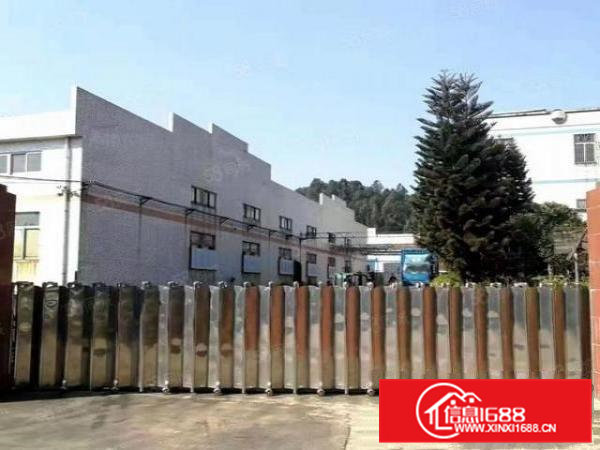 大岭山新出原房东独院钢构仓库厂房2600平方出租