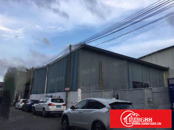 大沥兴泰物流园新出2380平方独院厂房仓库招租