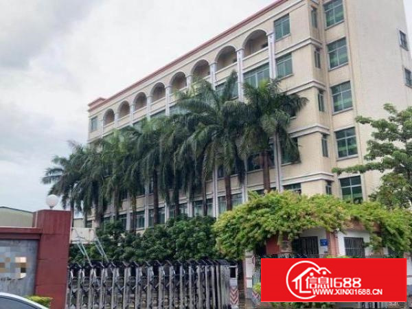 万江独门独院原房东厂房出租15块