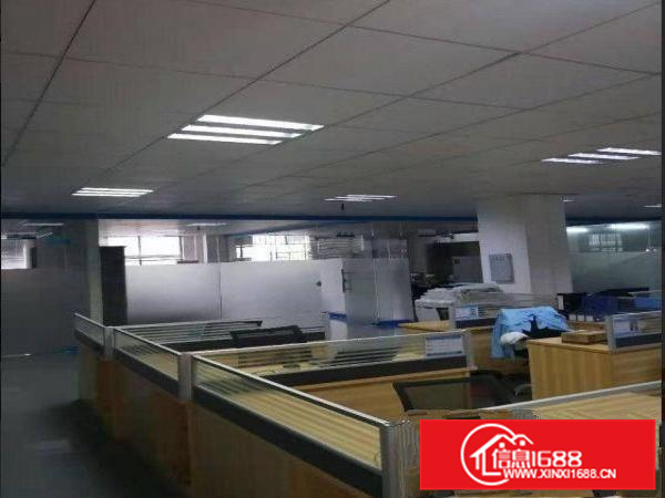 全新标准厂房大小分租玻璃幕墙带精装修