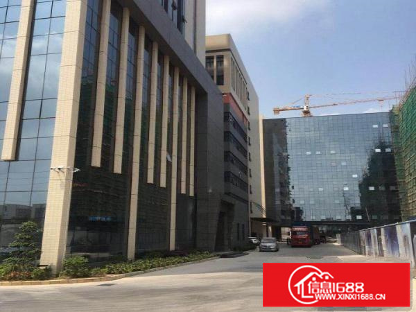 秋长茶园港式现代厂房10500平米出租