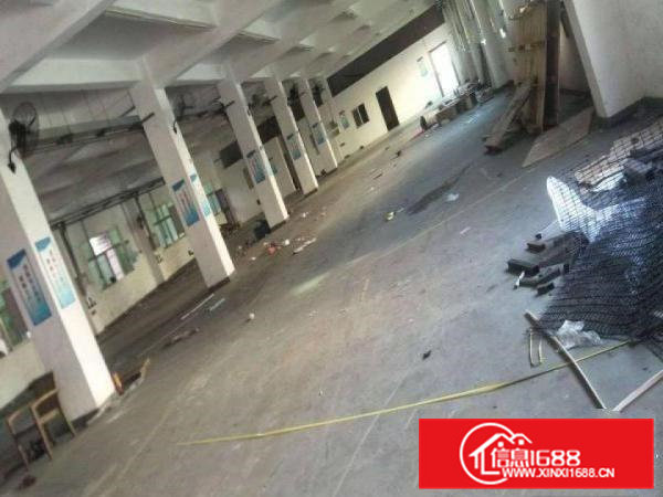 谢坑工业园新出带办公室装修1搂850平标准厂房出租