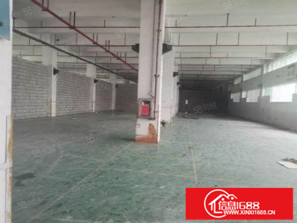 深圳坪山多彩科技园20000平米厂房，220平米起分租