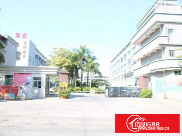 茶山镇布料市场厂房招租