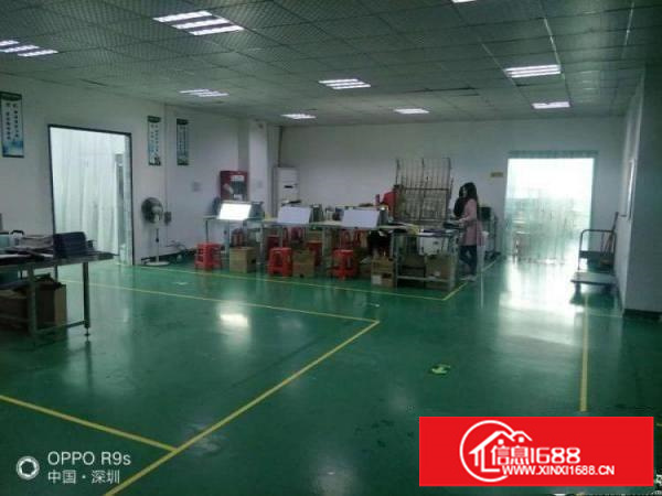 坪山大工业区整层1780平米带豪装，免转让费出租