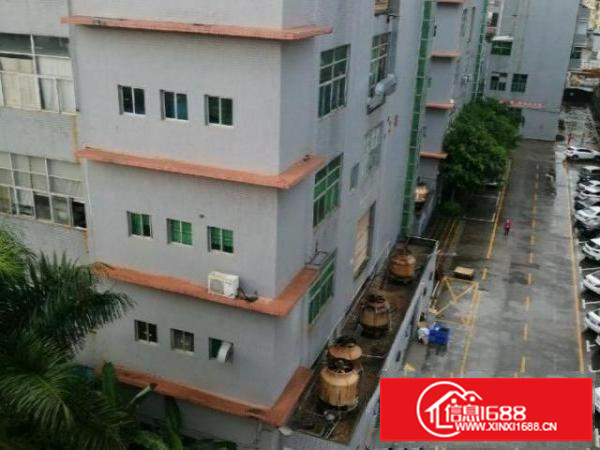 五楼标准厂房800平方米