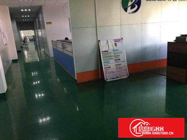 清溪九乡空出楼上1800平全层地平漆精装办公室