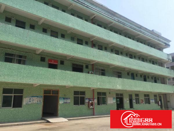 坪山石井新出红本厂房1200平