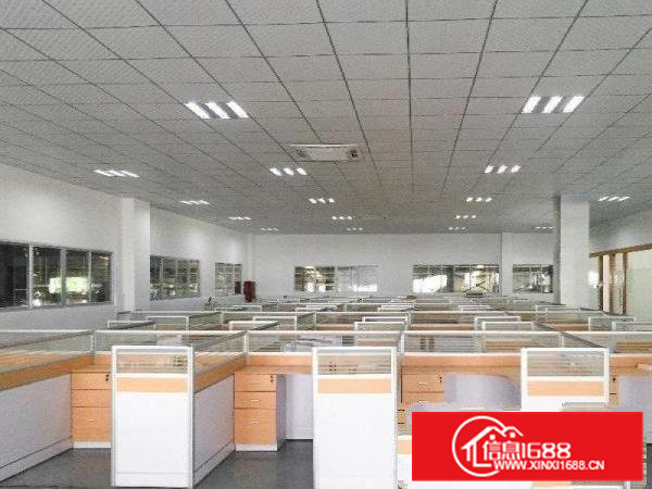 东坑带装修办公室拎包入驻