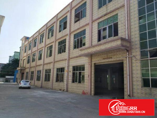 塘厦平山工业区标准1楼900平方！现成主线办公室装修