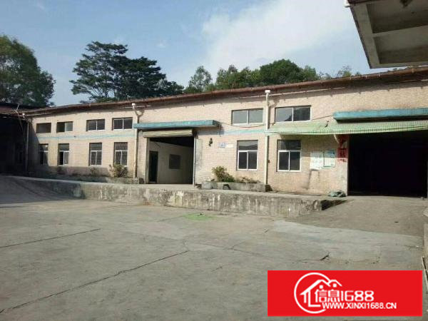 观澜大量单一层出租，大小都有，200起租