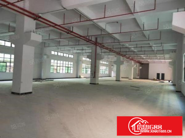 凤岗独门独院厂房一万平方火爆出租