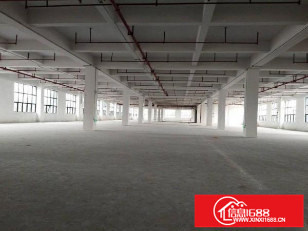 里水全新独门独院楼层厂房出租