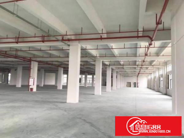 新木带装修二楼1200平方厂房出租