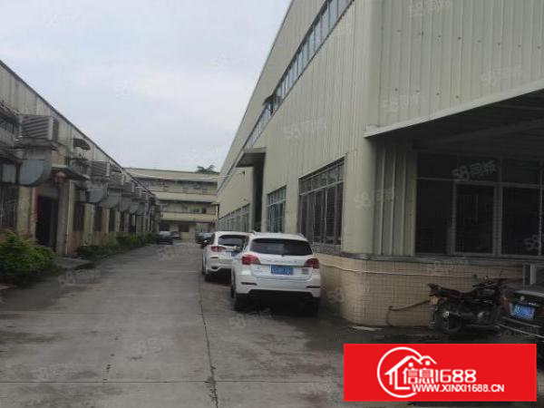 横沥东兴工业区单一层独院厂房1200平方招租，滴水8米
