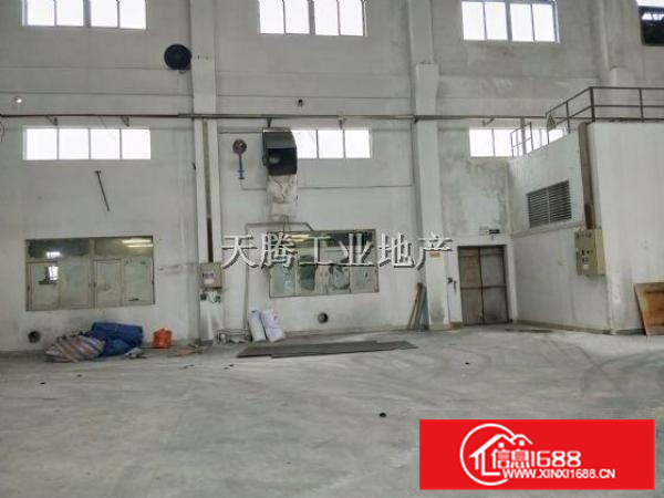 大良凤翔独院厂房1200方，中高12米，有办公室