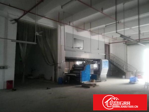 出租坪山新区宝山第三工业区700平米6米高1楼