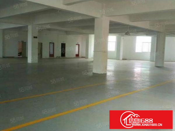 300平起分租坪山秀明南路附近唯一原房东小独院4500平