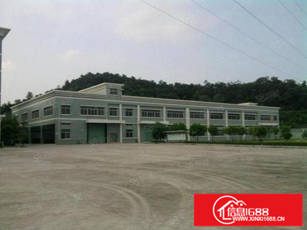 东莞石排新出原房东独院厂房分租一楼2300平方出租