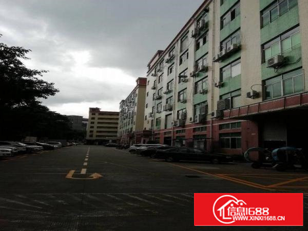 洲石路九围工业园区新出一楼900平厂房招租面积实在