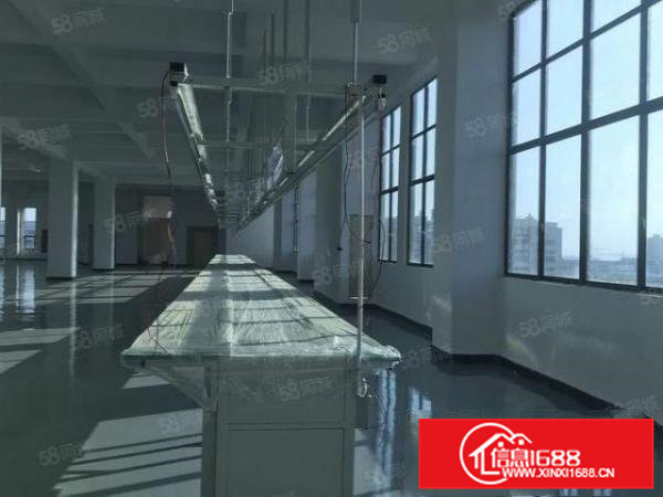 常平原房东全新厂房出租8000平方，可以分租1000平起分！