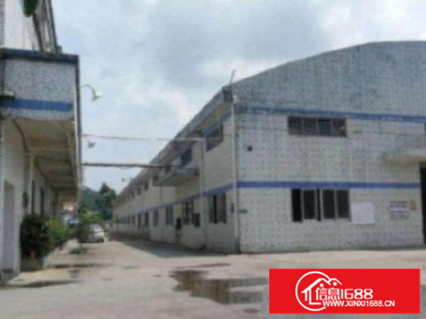 高埗独院单一层招商中1500平方面积