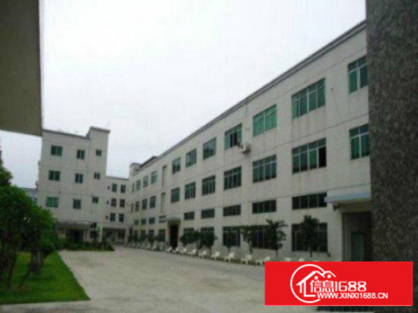 万江标准一楼或二楼1500平方出租独立现成装修办公室