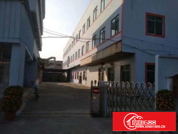 万江标准一楼800平方.带装修.带办公室出租有装修好的办公室