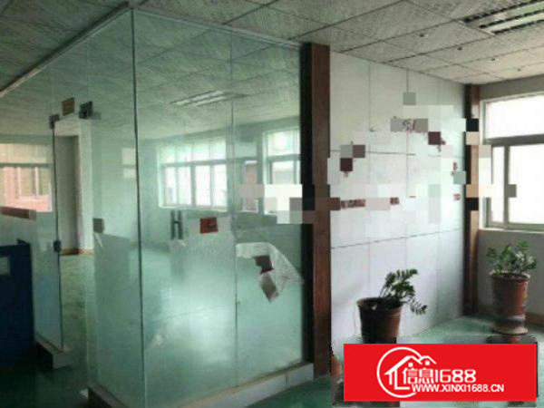 惠阳新墟原房东一楼300平，二楼600平，三楼330平可分租