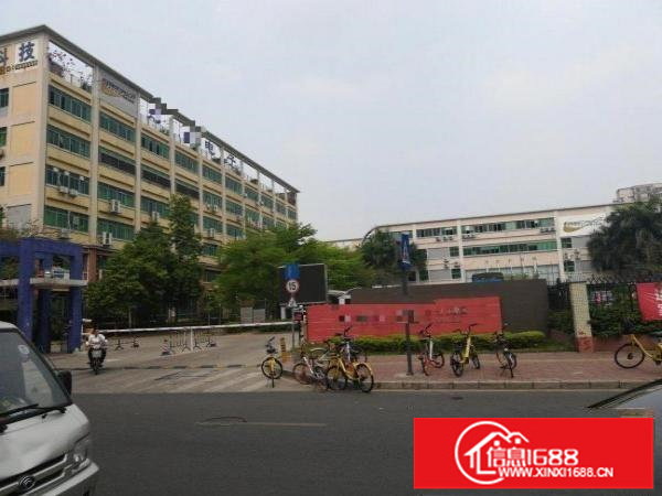 丹竹头红棉路附近花园式厂房楼上340平米可分租带精装修