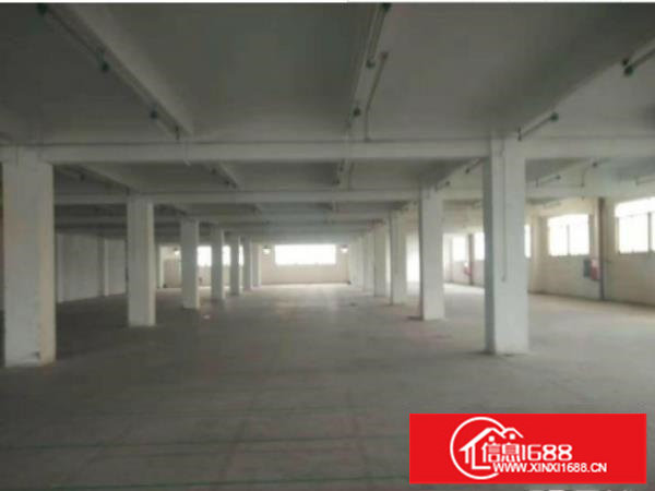 坪山原房东红本独院4800平可办环评500平可分组