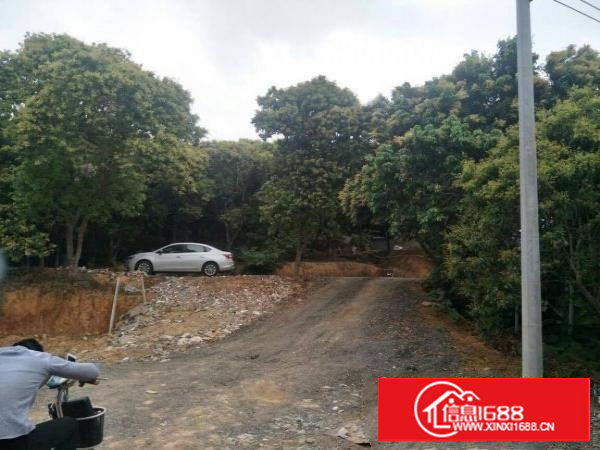 林村荔枝园内可做污染行业500平米