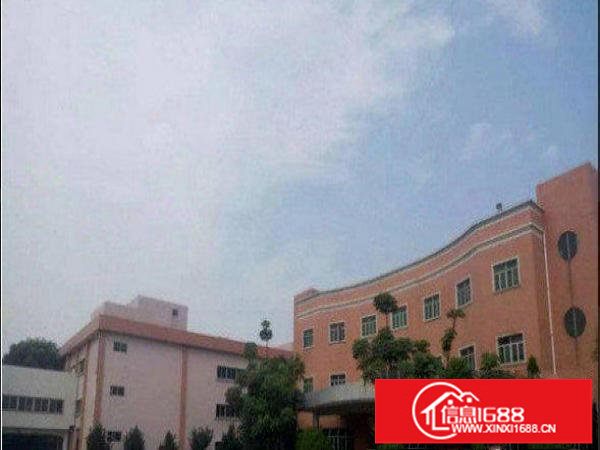 龙岗区坂田和磡村楼上整层200平米带装修厂房出租