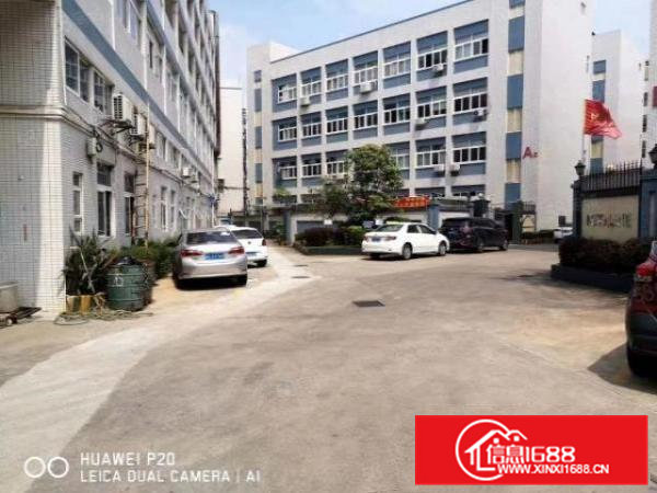 凤岗雁田600平便宜厂房出租适合各种行业现成装修办公室