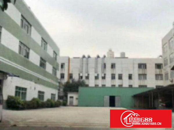 高埗豪华装修厂房出租，新出楼上精装修厂房1750平，电梯直达