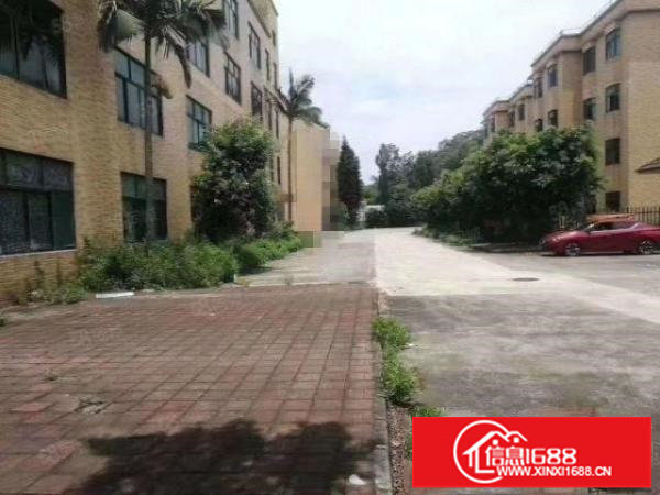 观澜牛湖新出18000平独门独院花园式厂房，原房东直租