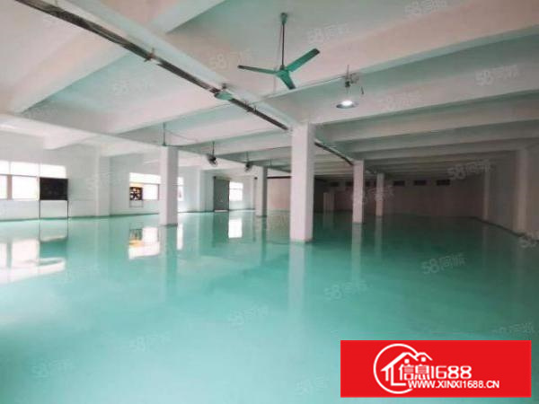 顺德北滘700方标准厂，有办公室，消防喷淋不限制行业A