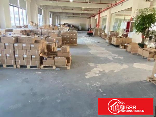 塘厦林村杨帆小学旁标准2楼1380平方！一整层可分租！带装修