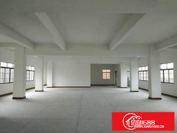 全新10元/平方房屋出租