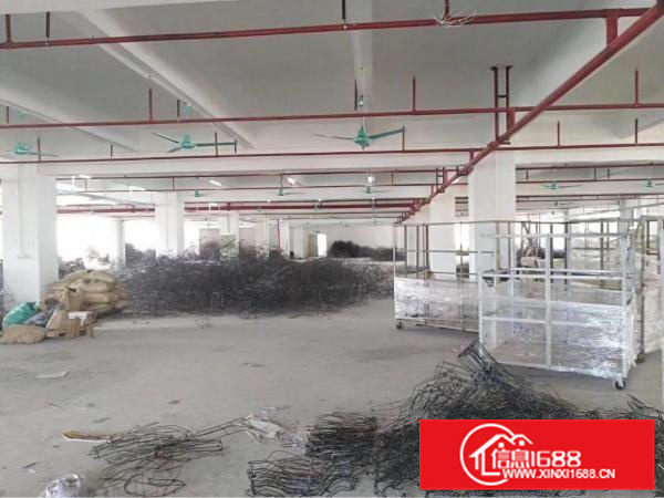 新墟5600平独院，可做喷油，证件齐全